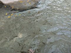 -碧水湾温泉