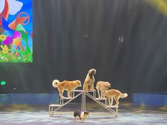 -无锡动物园·太湖欢乐园
