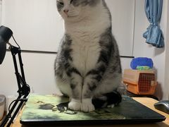 -合肥野生动物园