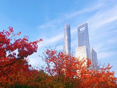 -陆家嘴中心绿地