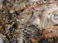 -77号渔船·蒸海鲜青岛菜(积米崖店)