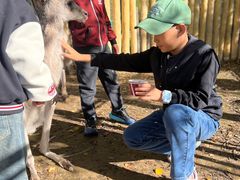 -鄂尔多斯野生动物园