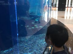 -OPEN開全日自助餐厅·牛肉火锅·海鲜(佛山希尔顿酒店)