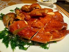 -金燕岛潮州酒楼