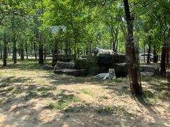 -秦皇岛野生动物园