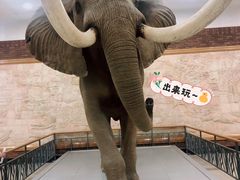 -大连自然博物馆·地球展厅