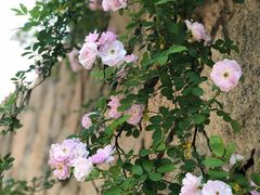 -滆湖低碳生态公园