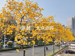 -大芬美术馆