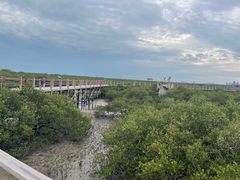 -北海金海湾红树林生态旅游区