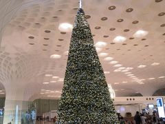 -贾特拉帕蒂·希瓦吉国际机场