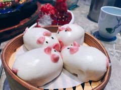 -老板恋上鱼(恒隆广场店)