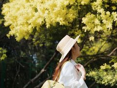 -厦门国家会计学院