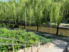 -元大都城垣遗址公园