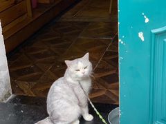 -黎黄陂路街头博物馆