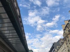 -乐蓬马歇百货公司(Rive Gauche)