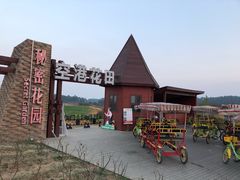 -空港花田景区