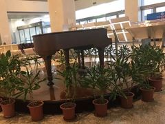 -上海交通大学医学院附属瑞金医院(总院)