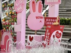 -VT101维多利广场