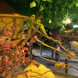 -酷嗒动物文化乐园(cutezoo西溪乐天城店)