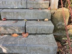 -敬亭山风景名胜区