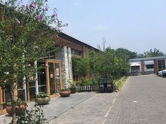 -食家鸽园