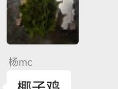 -探窝·竹笙椰子鸡(杨箕店)