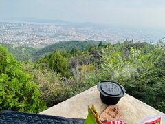 -府君山公园