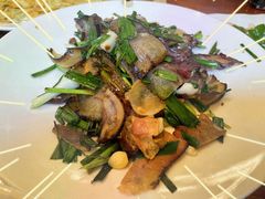 -龙翔山庄雷鸡肉(青城后山泰安古镇店)