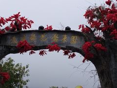 -天适樱花悠乐园