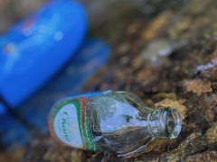 -北仑森林植物园