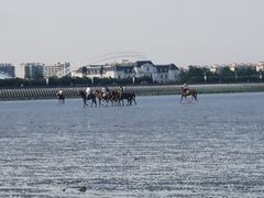 -奉贤海滩