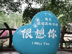 -西双版纳原始森林公园