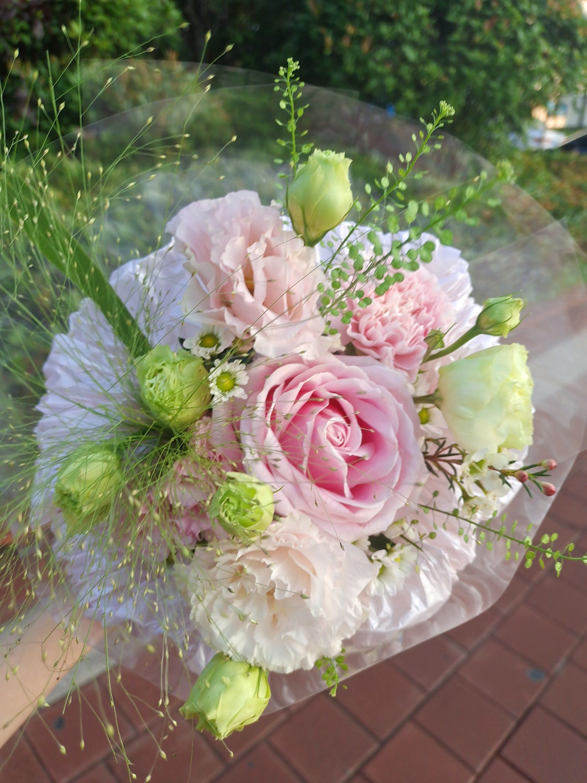 今日份的美好,从一束漂亮美丽的鲜花开始