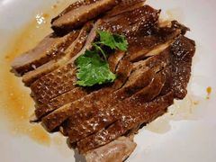 -MR鹅外
