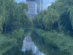 -南长河公园