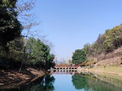 -桃花岭景区