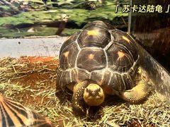 -泉州海丝野生动物世界