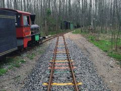 -合肥滨湖国家森林公园