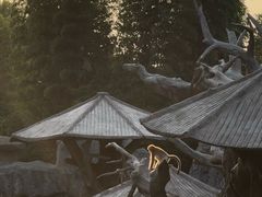 -上海野生动物园