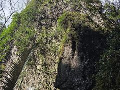 -七仙岭温泉国家森林公园