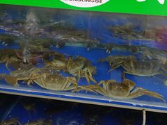 -阳澄湖大闸蟹·琼灵阁牌品牌连锁(吴中总店)