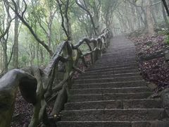 -圣廷苑酒店-世纪楼菲苑自助餐厅