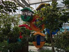 -南宫五洲植物乐园