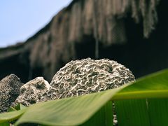 -三亚西岛海洋文化旅游区