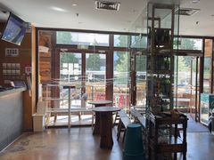 -一轩饺子馆(丽都店)