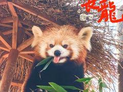 -北京野生动物园