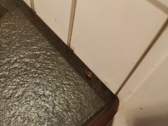 -欢乐牧场海鲜烤肉自助(牡丹园店)