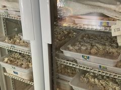 -真真鲜馄饨店(启蒙路店)