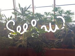 -Seesaw Coffee(朝阳大悦城店)