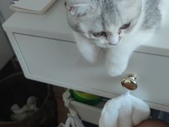 -中农国际动物医院24小时·猫科·骨科·急重症中心